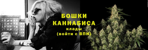 прущие грибы Кукмор