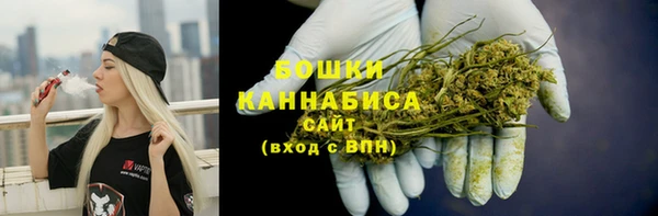 прущие грибы Кукмор
