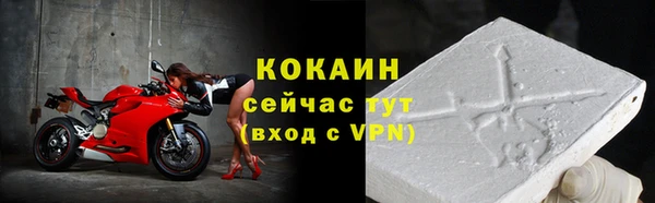 прущие грибы Кукмор