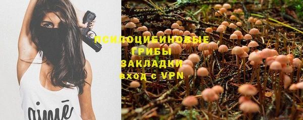 прущая мука Кулебаки