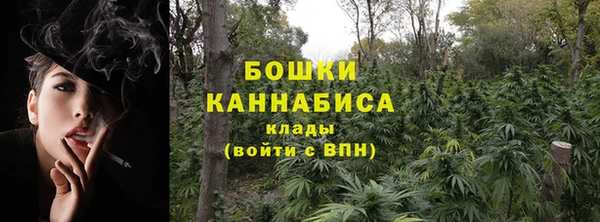 прущие грибы Кукмор